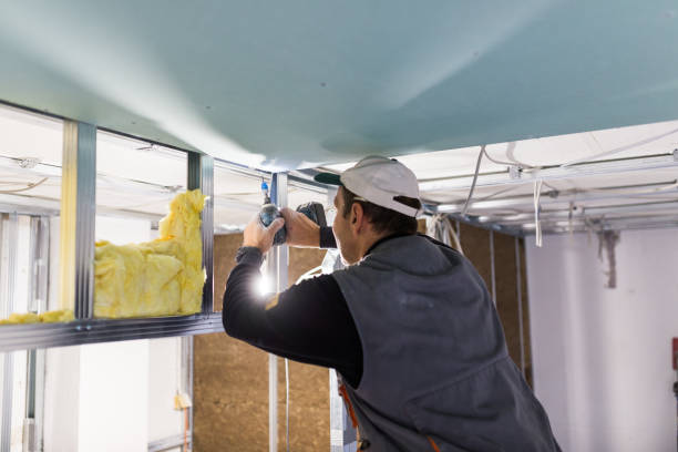 Best Eco-Friendly Insulation in Olivia, MN