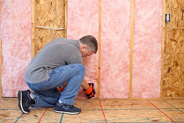 Best Spray Foam Insulation in Olivia, MN