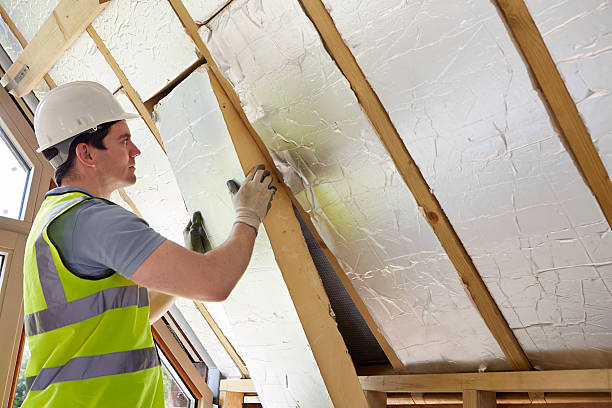 Best Geographic-Specific Insulation Services in Olivia, MN